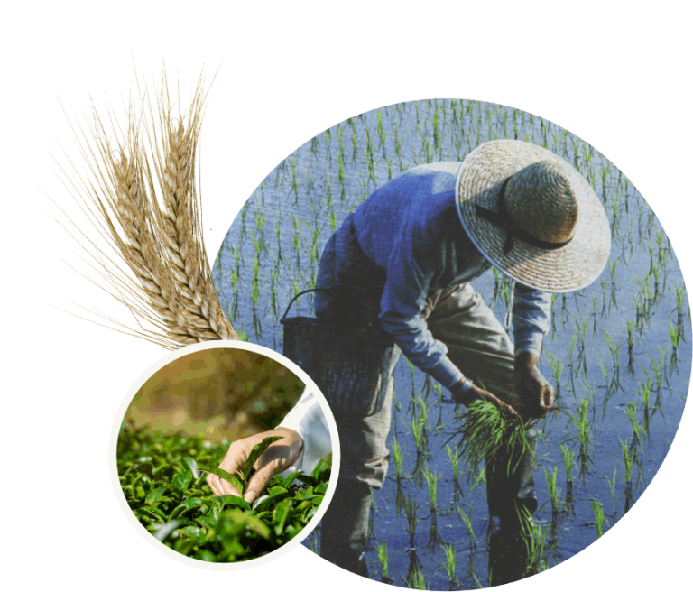 farmer
